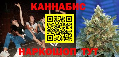 скорость Новозыбков